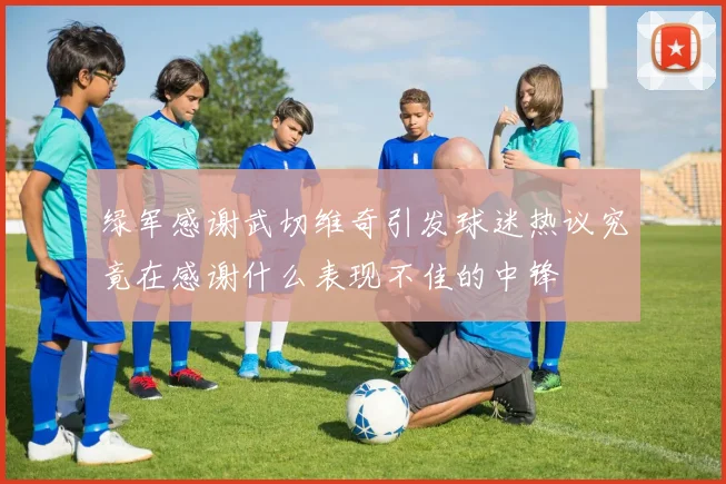 绿军感谢武切维奇引发球迷热议究竟在感谢什么表现不佳的中锋